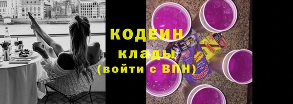 МДПВ Снежногорск