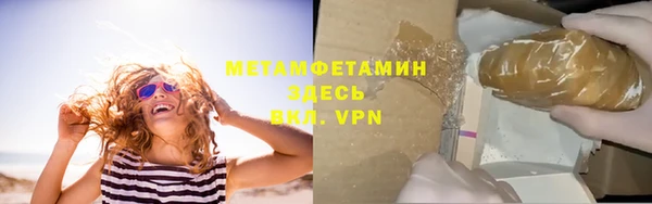 прущие грибы Навашино