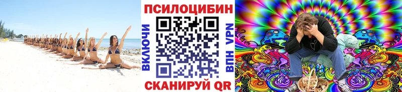 Псилоцибиновые грибы GOLDEN TEACHER  Брянск 