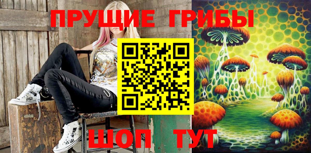 Галлюциногенные грибы прущие грибы  Вход с VPN  купить   Брянск 
